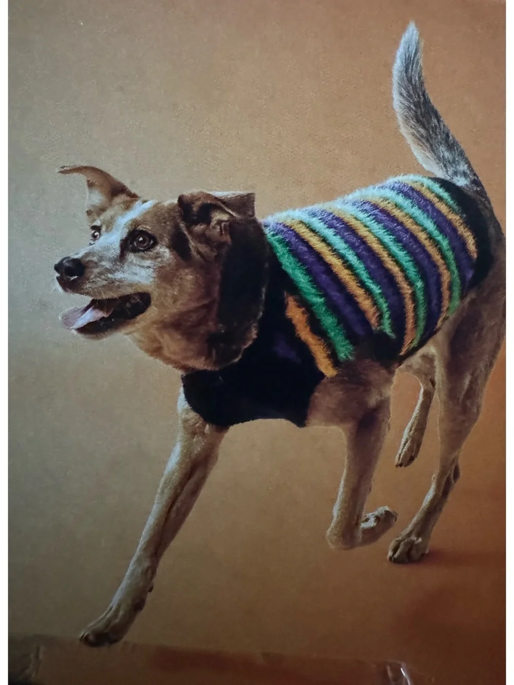 Boots & Barkley Striped Fuzzy Halloween Costume dog sweater size large